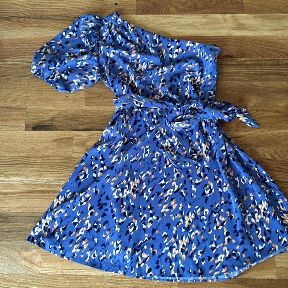 Blue Leopard Print Dress